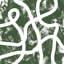 Evergreen Negative Space-666991052