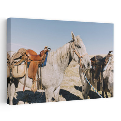 «Two Saddle Horses Ii», photographie de paysage, art en couleur, art contemporain