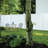 6 ft. H x 8 ft. W Privacy Panel