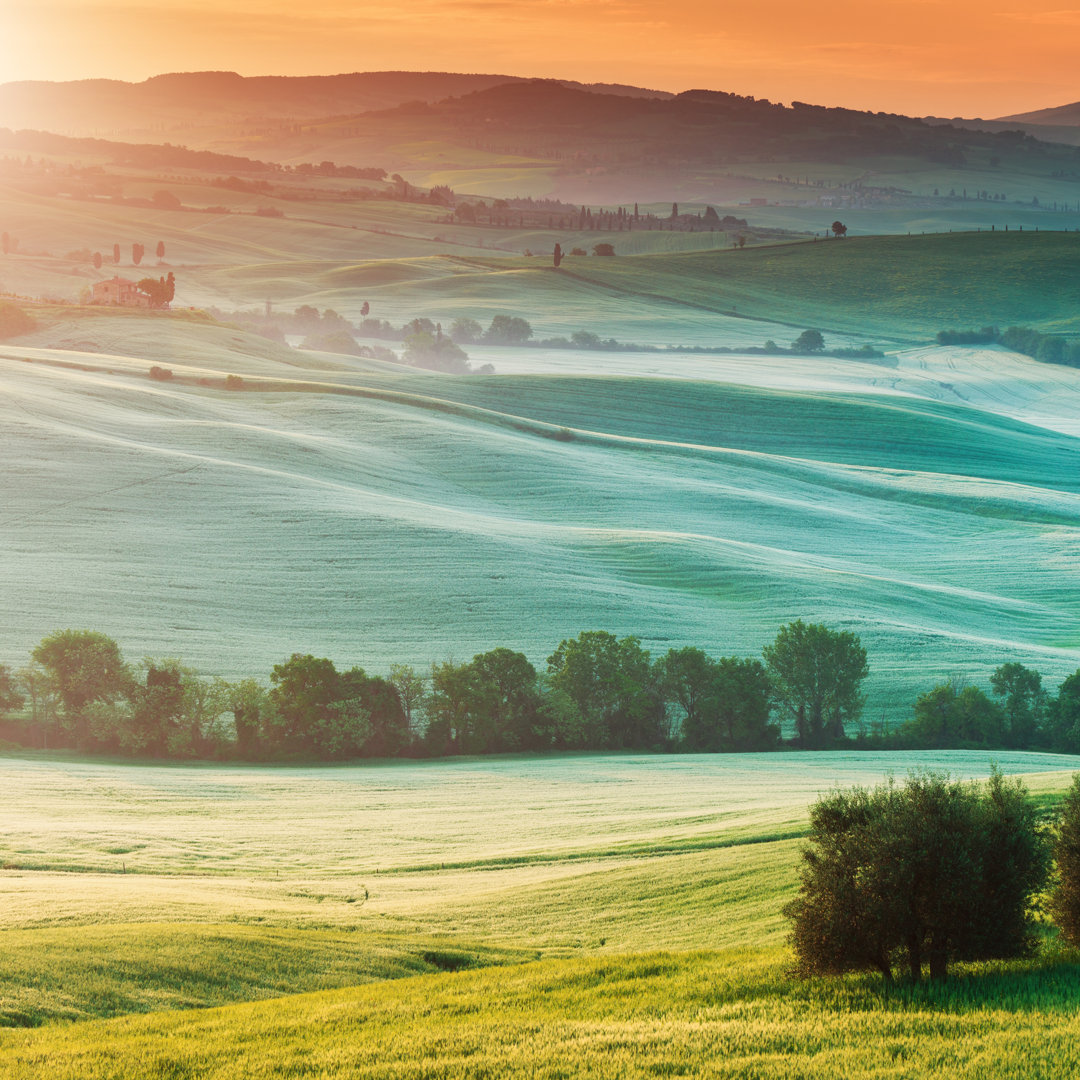 Typische Landschaft aus der Toskana von Gehringj - Leinwandbild