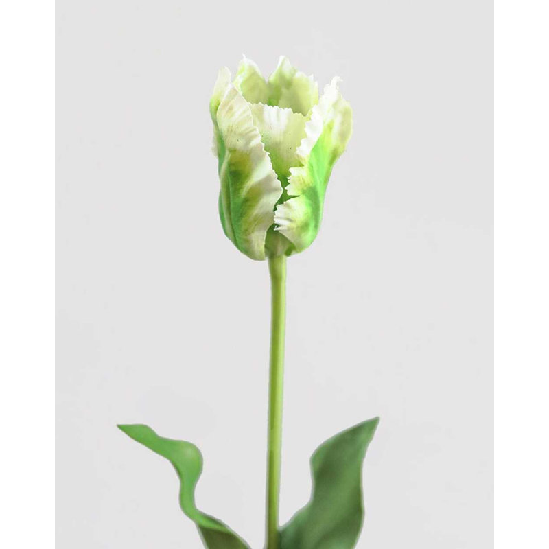 Perroquet citron tulipe Real Touch 27 po, Lemon Parrot