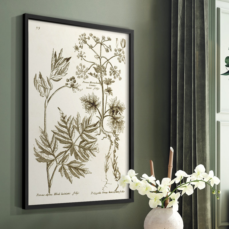 «Sepia Botanical Journal III», reproduction encadrée - bois massif, H 28 po x l 22 po, Noir