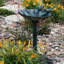 Bain d'oiseaux Elenamarie-78139438