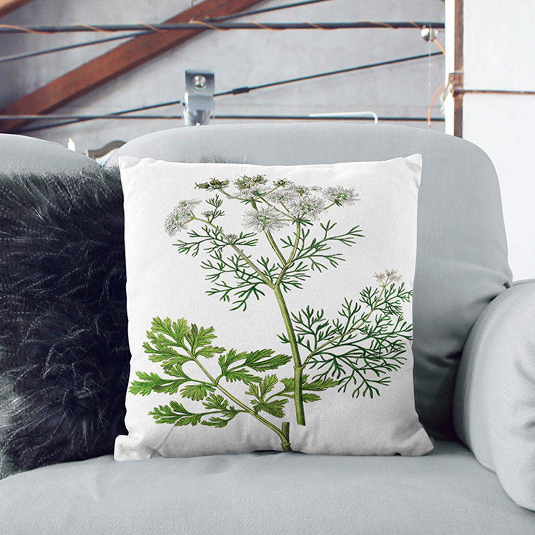 Coriander Flowers Illustration Cushion with Filling