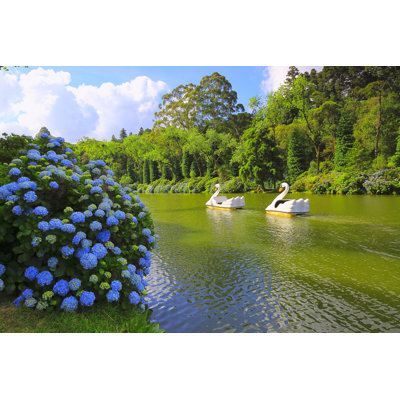 Lago Negro by Agustavop - Wrapped Canvas Print