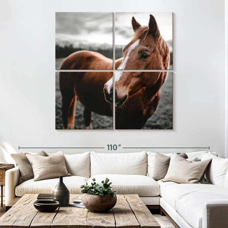 Brampt Shining Horse