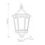 Delora Black Outdoor Wall Lantern-11183589