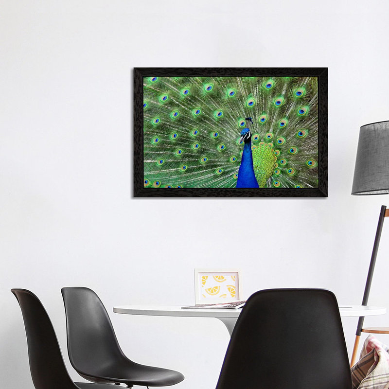 Peacock Feathers - Floater Frame Print on Canvas, 66.04 cm H x 45.72 cm W, Black