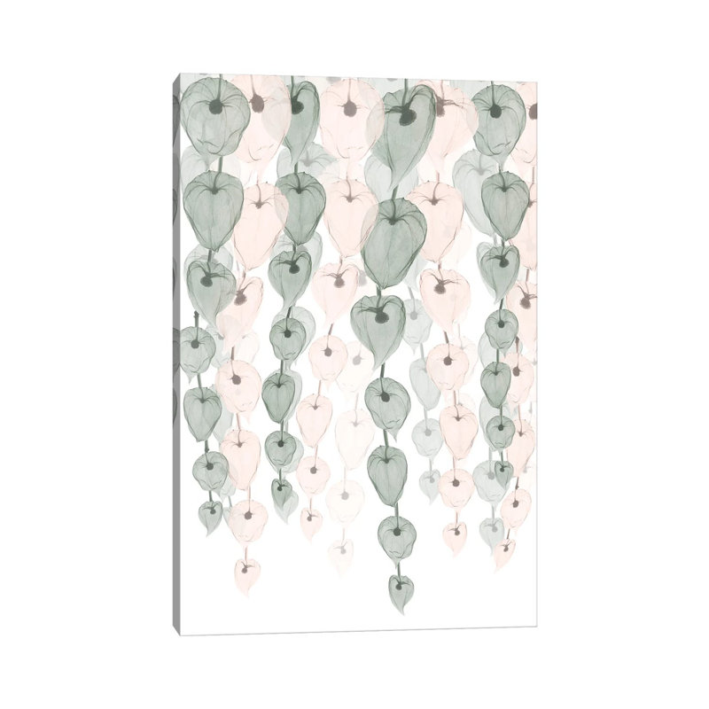 Lantern Blush Cascade I by Albert Koetsier - Wrapped Canvas Gallery-Wrapped Canvas Giclée, 12" H x 8" W, Wrapped Canvas