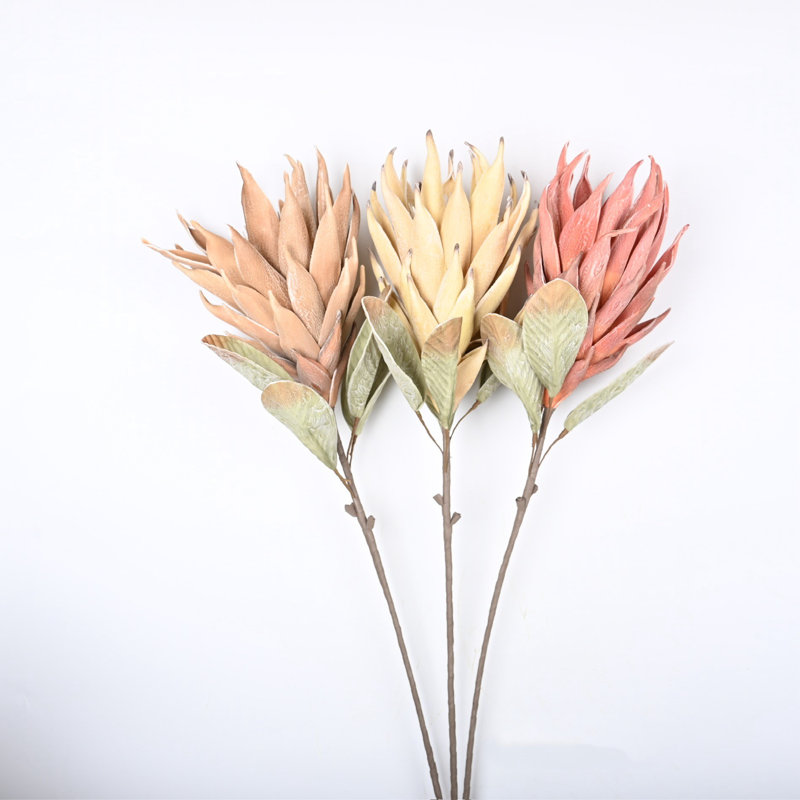 Protea Cynaroides, arrangement floral, longue tige