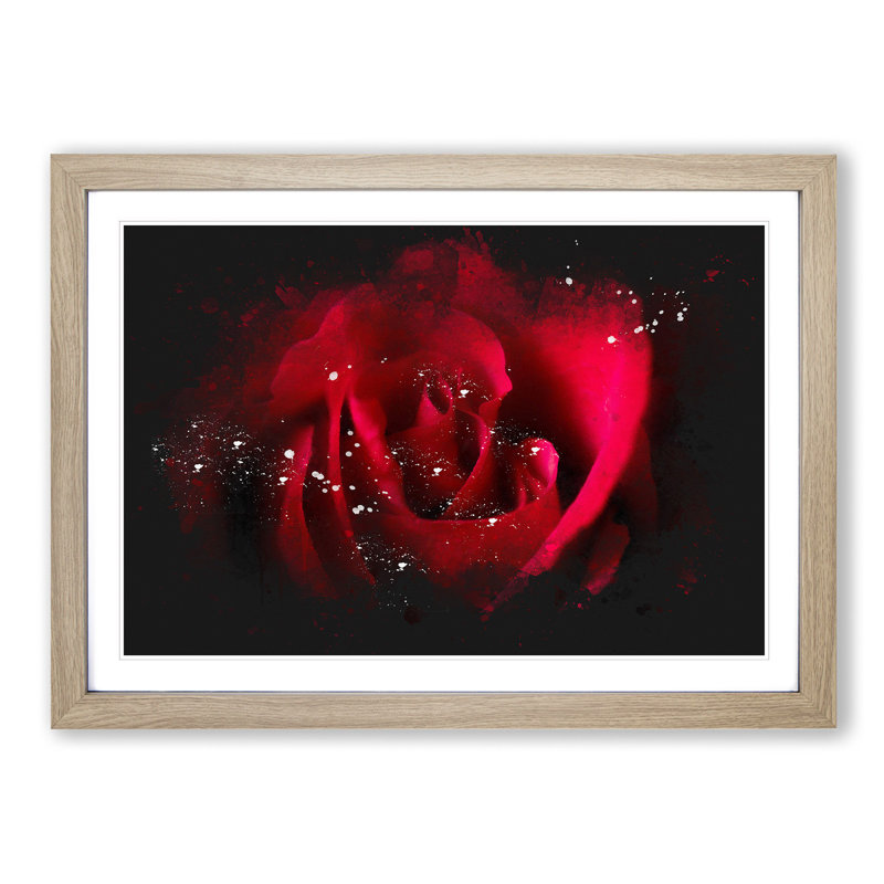 The Beauty of a Red Rose - Picture Frame Graphic Art Print, 45cm H x 63cm W x 2cm D, Oak Framed