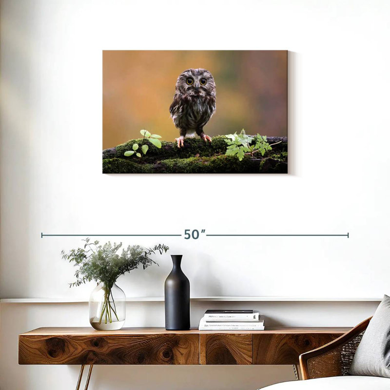 Charmant petit hibou, H 20 po x l 30 po