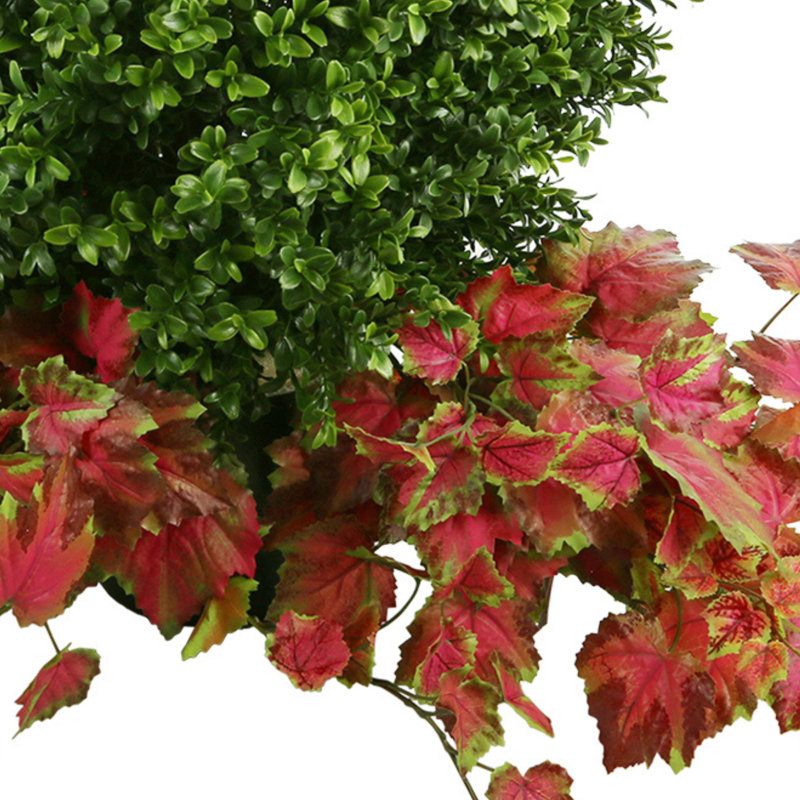 Outdoor Boxwood Topiary Drop-In with Ivy