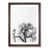 Walnut Framed