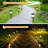 Matte Black Solar Powered Integrated LED Pathway Light Pack