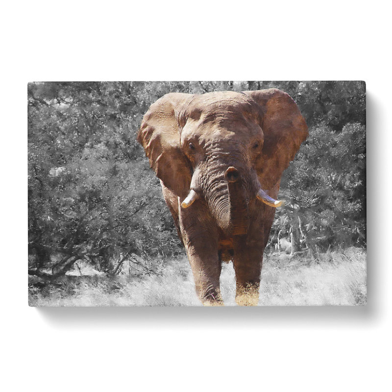Elephant Vol.1 Painting - Wrapped Canvas Print, 35cm H x 50cm W x 3cm D