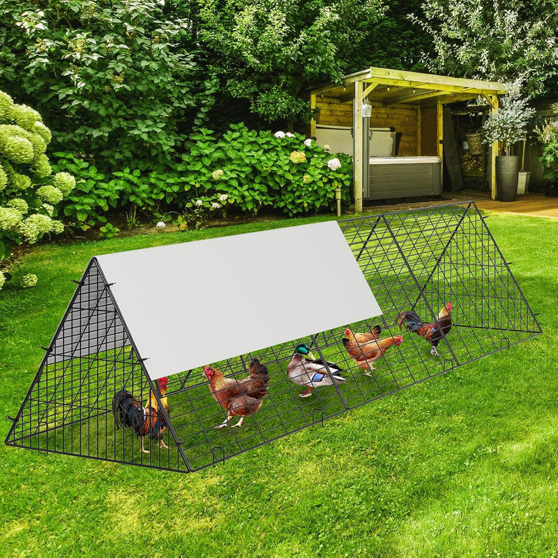 Chicken Fencing