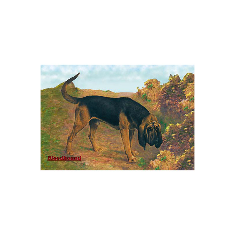 « bloodhound champion », impression
