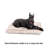 Pet Bed-55050410