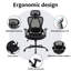 Mesh Ergonomic Office Chair with Adjustable Headrest and Lumbar Support