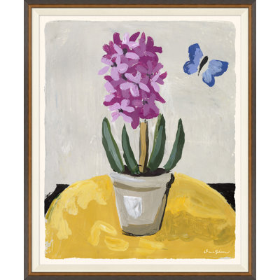 Pink Hyacinth