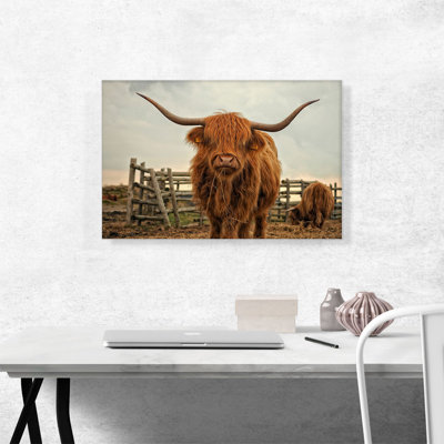 Highland Cow C best Stable - Reproduction de photo sur toile tendue