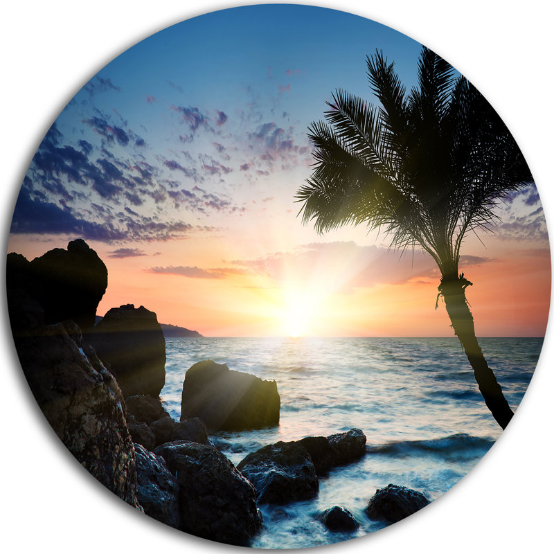 « sapin palm » on rocky beach», reproduction de photo sur métal, H 36 po x l 36 po x P 1 po