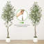 Arrangement