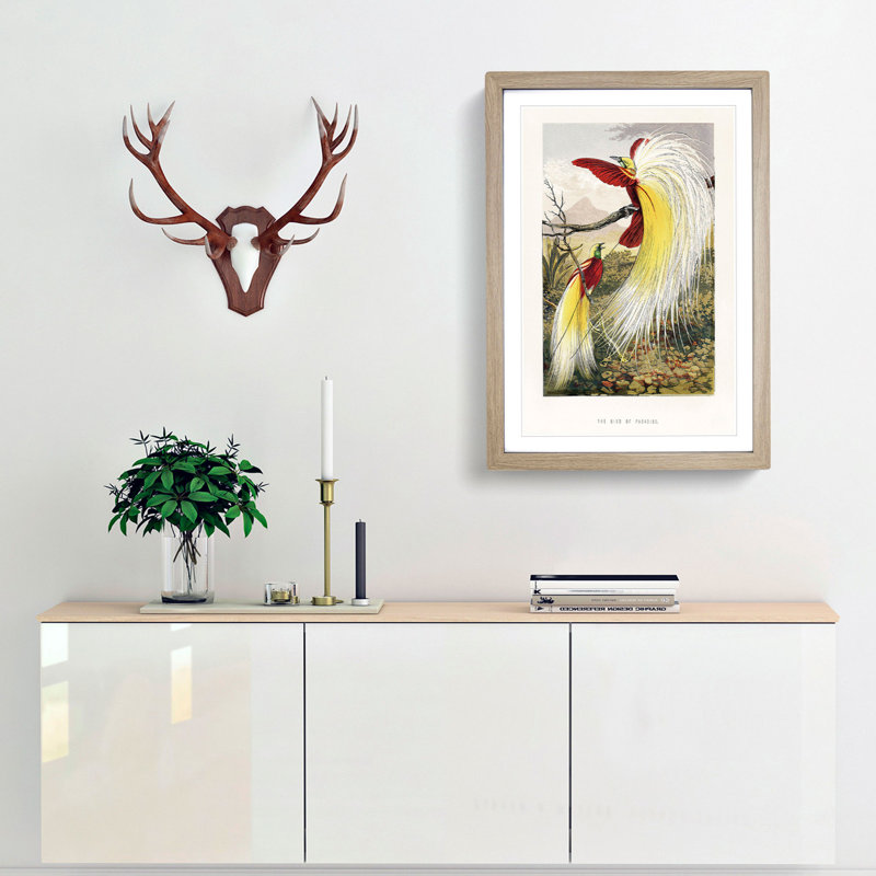 Two Birds of Paradise by Benjamin Fawcett - Picture Frame Painting Print, 36cm H x 27cm W x 2cm D, Oak Framed