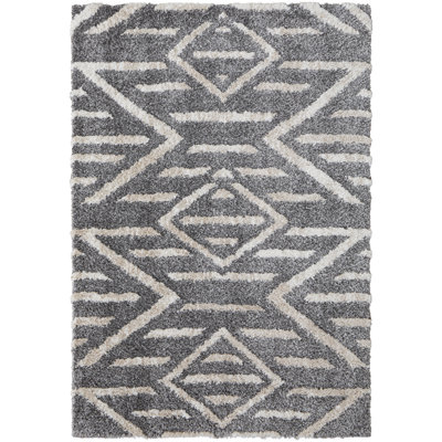 Caide Bohemian & Eclectic Diamond Polyester Area Rug