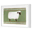 Sheep Print by Gibson, Dana-1023574834