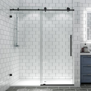 Frameless Shower Door
