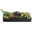 Plante grasse artificielle 3 po en pot