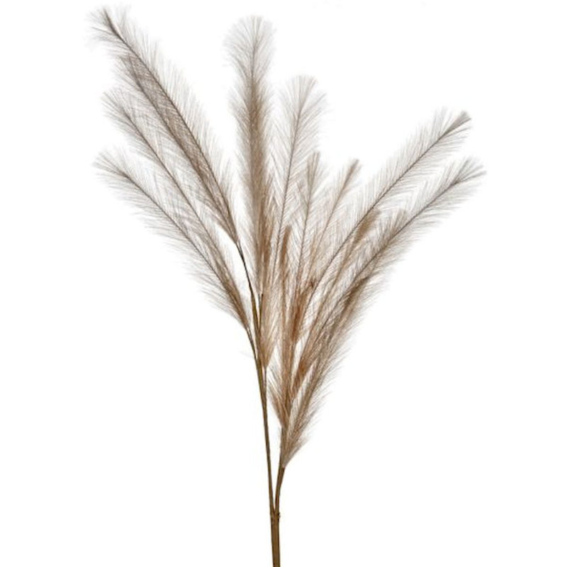 Jacinta 49'' Faux Pampas Grass Grass