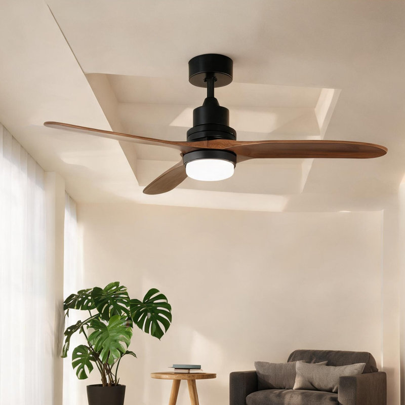 Ceiling Fan