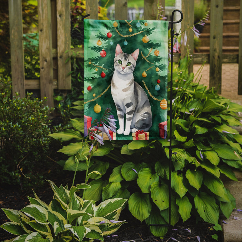 Drapeau de jardin Pixie Bob, European Shorthair