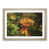 Oak Framed selected