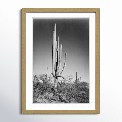 Saguaro National Monument Print by Ansel Adams