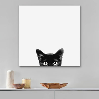 Baby Animals " Black Cat "