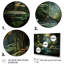 Caraibe Jungle Adventure - reproduction sur toile-428298260-443849593