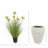 Dahlia Drop-In and Stone Pot