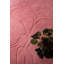 Wool Area Rug in Pink-74187197