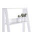 Aeden Ladder Bookcase-614858846
