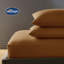 Silentnight Pure Cotton 200 TC Pillowcases-112662047