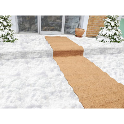 Winter Wonderland