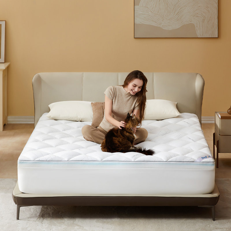 BEDLORE® 2" Gel Memory Foam & 2" Bamboo Rayon Cover Set Mattress Topper for Back Pain Relief, Dual Layer Breathable & Washable Plush Pillow Top with 6-18" Deep Pocket
