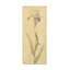 Art sur toile, Danhui Nai-105629346