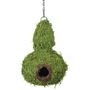 12'' H x 8'' W x 8'' D Hanging Birdhouse