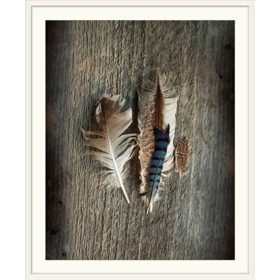 " Feather Collection III " Print