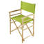 Laseter Folding Director Chair-24164602